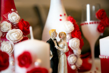 Beautiful and romantic wedding, groom and bride! Family and Braque.