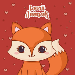 Kawaii fox icon and decorative hearts around over red background, colorful design. vector illustration