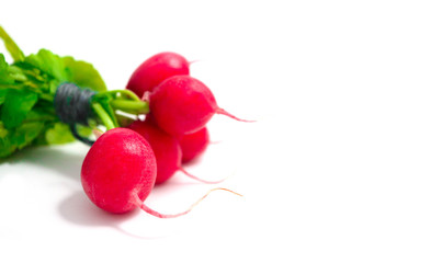 A bunch colorful fresh radish with green leaves, isolated on white background.