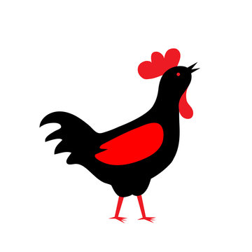 rooster silhouette isolated on white background
