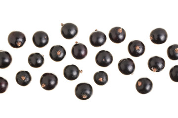 black currant isolated on white background with copy space for your text. Top view. Flat lay pattern