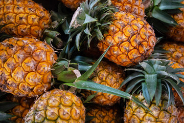 yellow pineapple type of tropical fresh fruits , heap of organic nutrition diet fruit at asian market in Thailand . common useful vitamin for good foods .