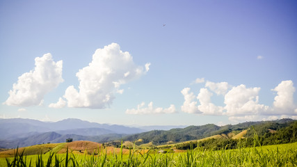 Panoramic View Of Agricultural Field Against Sky in Chiang Mai Thailand.