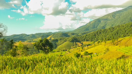 Panoramic View Of Agricultural Field Against Sky in Chiang Mai Thailand.