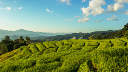 Panoramic View Of Agricultural Field Against Sky in Chiang Mai Thailand.