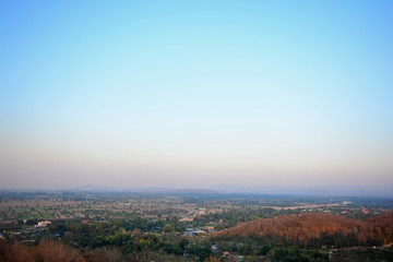 city and forest landscape