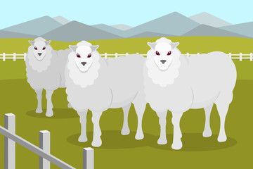 Sheeps on the background of summer rural landscape vector Illustration in flat style