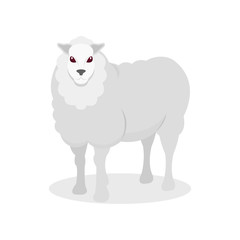 Obraz na płótnie Canvas White sheep, farm animal vector Illustration on a white background