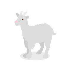White goat, farm animal vector Illustration on a white background