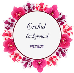 frame of pink orchids and leaves. Vector floral background.