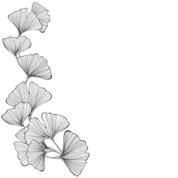 Floral background with ginkgo biloba on a white background. Vector illustration with place for text. Vertical composition. Greeting card, invitation or isolated elements for design.