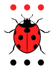 creative ladybug illustration