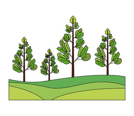 Fototapeta premium green nature trees forest foliage