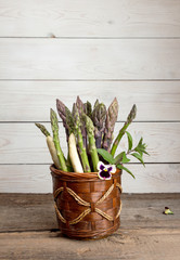 Set of raw white, green, purple asparagus in flowerpot with violet and mint. Organic healthy eating concept. Copy space.