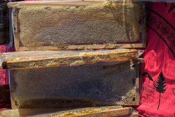 Fresh honey in the sealed comb frame