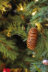 One single pine hanging on Christmas tree