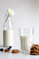 Glass of milk and cookies on white background. high key
