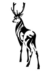 standing deer with beautiful antlers black and white vector outline