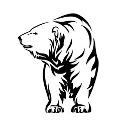 standing polar bear (ursus maritimus) black and white vector outline