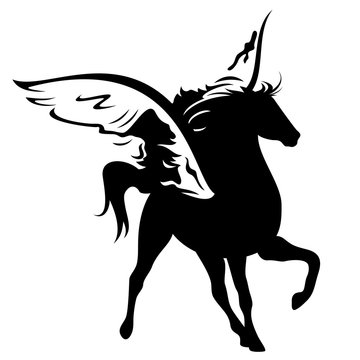 winged horse vector design - black pegasus silhouette