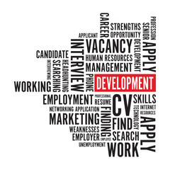 Fototapeta premium development word background