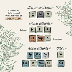 Guide of Macronutrients and Micronutrients for Plants vector.