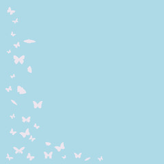 background with a silhouette of butterflies, postcard