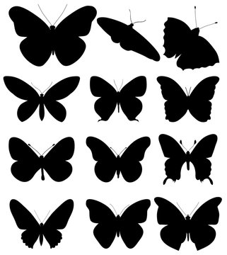 isolated, black silhouette butterfly, set