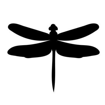 silhouette of dragonfly