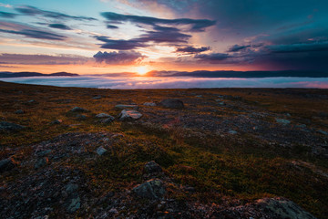 Abisko summer