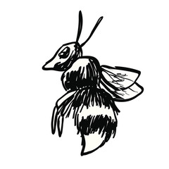 Bee Drawing
