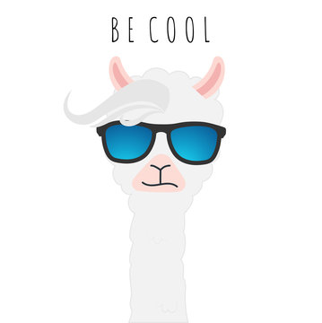 Cute Llama Design With Sunglasses, Be Cool.