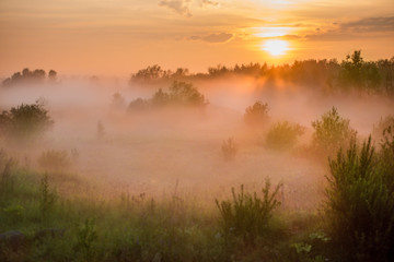 Fototapeta na wymiar Summer landscape of the foggy field