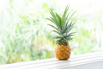 A mini pineapple with blur background in Thailand.