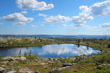 Small pond on Lapland fell top
