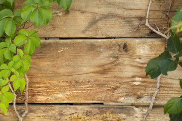 Laub auf alten Holzbrettern