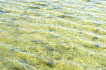 Texture of a yellow water surface