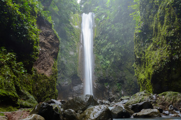 Asian jungle waterfall - Casaroro Falls on tropical island Negros. Philippines - Dumaguete,...