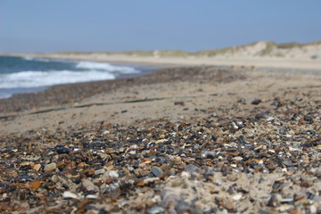 beach in denmark