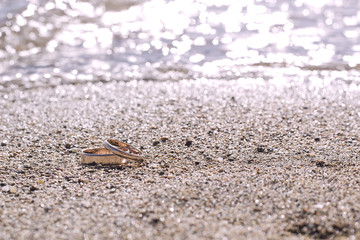 Pair of gold wedding rings on sand beach by sea