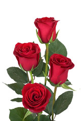 Bouquet of red roses isolated