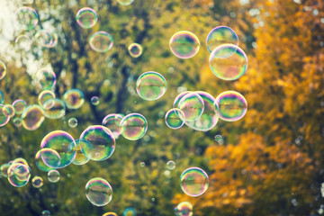soap bubbles in the air 