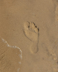 Fototapeta na wymiar Fußspur am Sandstrand
