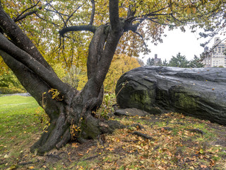 Obraz premium Central Park, New York City autumn
