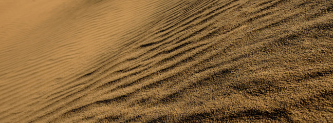 surface of sand in the dunes. Web banner