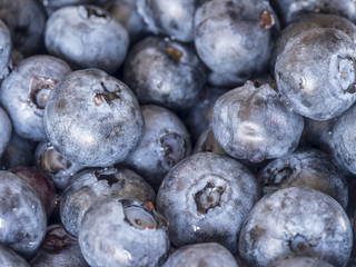 Close up of blueberries