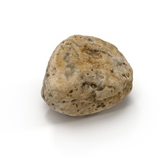 Small Sea Rock with Holes on white. 3D illustration