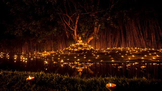 Gold buddha image under beautiful lantern tree and reflection of pond.