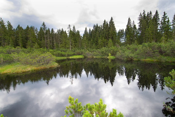 Obraz premium A lake in the Bohemian Forest. Czech Republic.