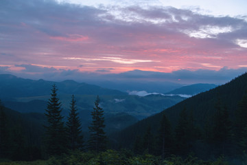 pink dawn in the mountains in summer